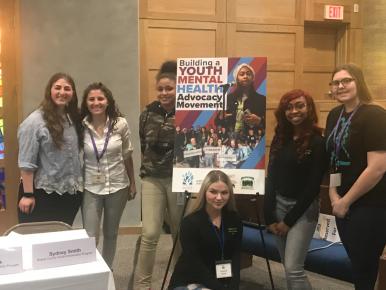       Building a Safety Net for Teen Mental Health: Youth Advocate Perspectives 
  